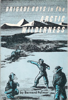 BB Arctic Wilderness Cover