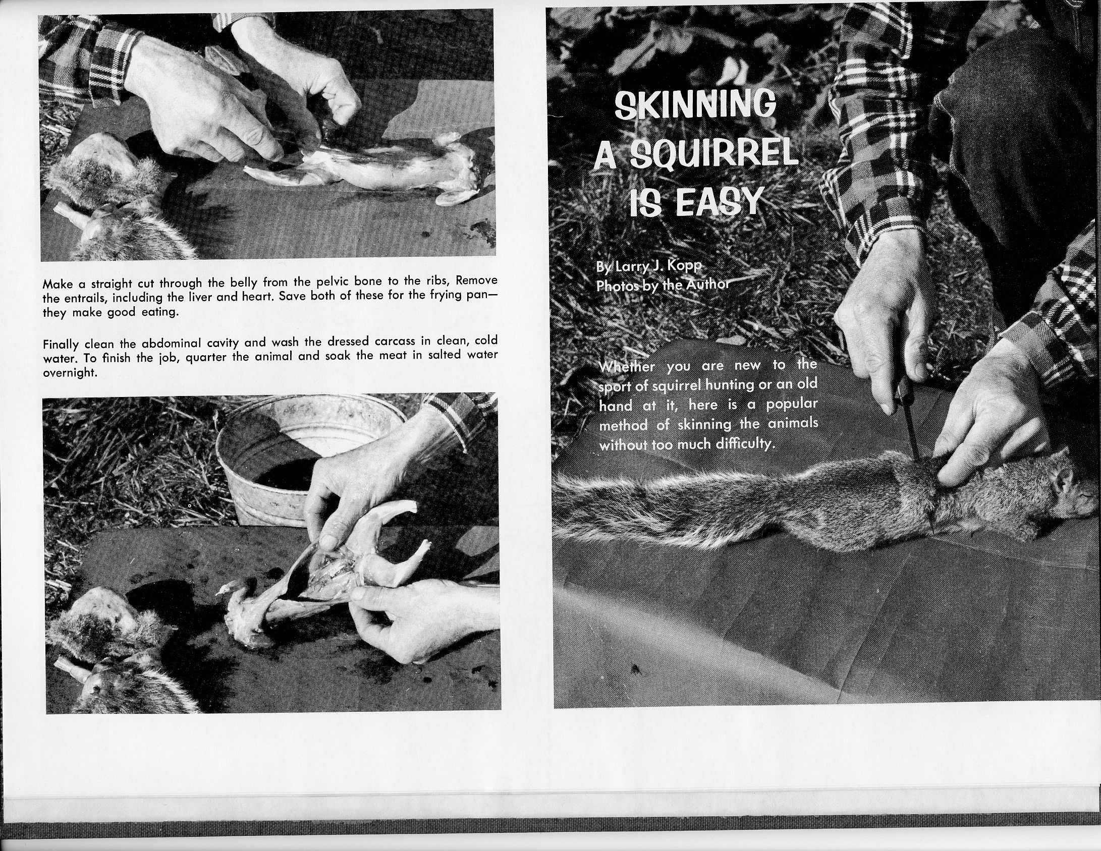 squirrel_cleaning1_venture10-1963