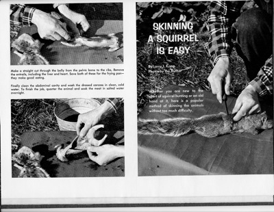 squirrel_cleaning1_venture10-1963