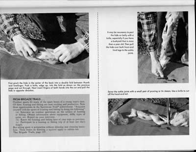 squirrel_cleaning2_venture10-1963