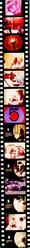 stockade4